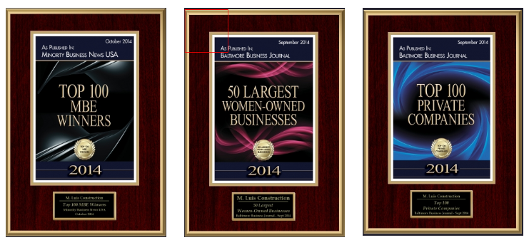 M. Luis Recognized the by Baltimore Business Journal